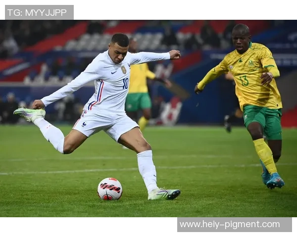 法国足球明星bizd的传奇之路与辉煌成就全解析